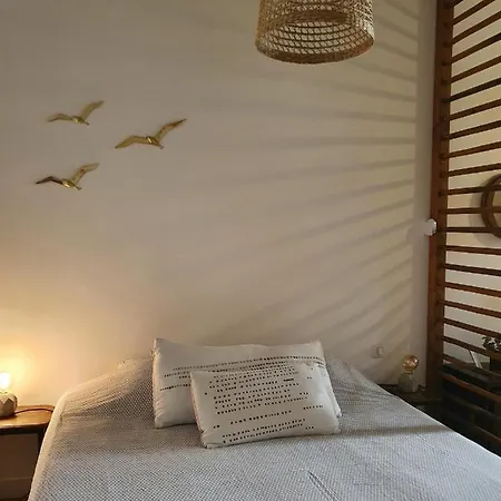 Le Jardin Suspendu Vieux-lyon - Option Garage *