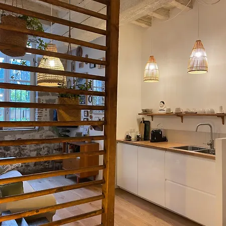 Le Jardin Suspendu Vieux-lyon - Option Garage アパート リヨン