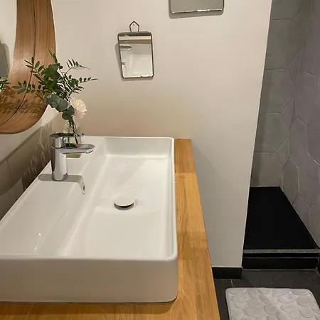 Le Jardin Suspendu Vieux-lyon - Option Garage リヨン