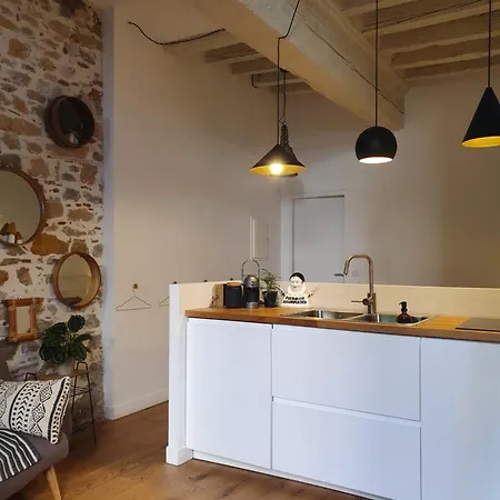 Le Jardin Suspendu Vieux-lyon - Option Garage アパート